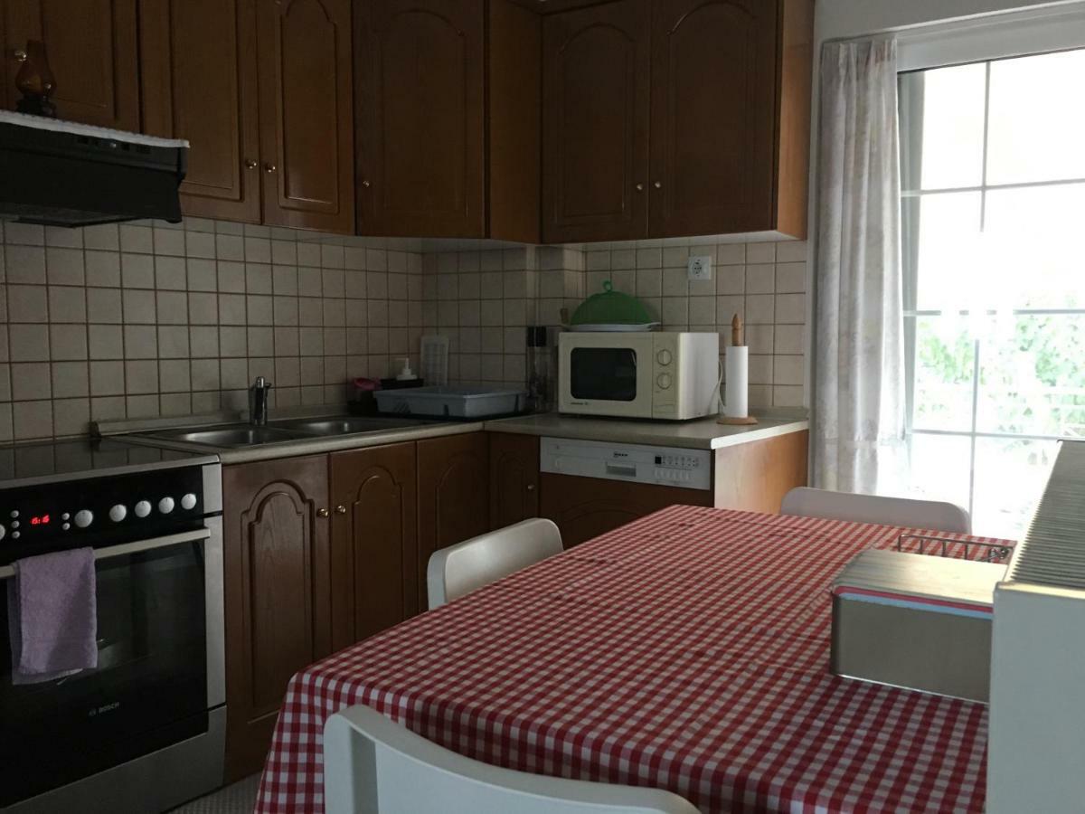 Cozy & Quiet City Apartment Tríkala Eksteriør bilde
